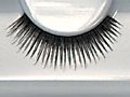 Eyelashes 101 - Small Image