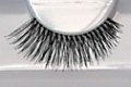 Eyelashes 111 - Small Image