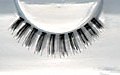 Eyelashes 113 - Small Image