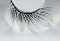 Eyelashes 162 - Small Image