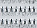 Eyelashes 512 - Small Image