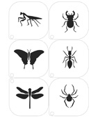 Insects Stencils - Small Image
