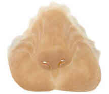 Latex cat snout *