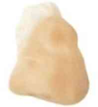 Latex boxer's nose *