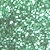 Green Stargazer Glitter 5gm shaker - Large Image