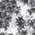 Silver Stars - Large Image