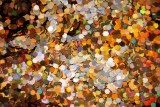 Glitter Chunks Holographic Henry - Large Image