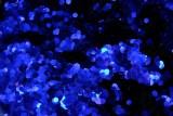 Glitter Chunks Oceana - Large Image