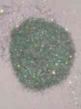 Twinkle Green Glitter Bag 20g