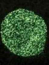 Jade Green Glitter Bag 20g