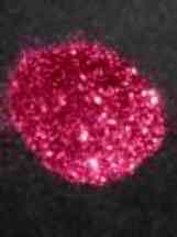 Funky Fuchsia Glitter Bag 20g