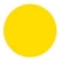 Yellow Detailz