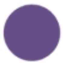 Purple Detailz