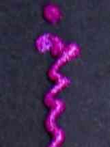 GlitterMark Fuchsia