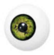 Green false eye