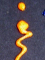 GlitterMark Orange - Small Image