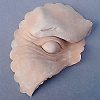 Quasimodo false eye - Small Image